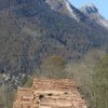 PNFB : Dominique Jarlier présidera le groupe de travail "Forêt et territoire"