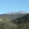 Acte II de la loi Montagne : les communes forestières apportent leurs contributions
