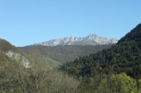 Acte II de la loi Montagne : les communes forestières apportent leurs contributions