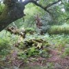 Séminaire biodiversité et forêt : la parole aux initiatives territoriales