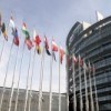 Une nouvelle stratégie européenne pour la forêt
