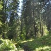 France Bois Forêt (FBF) soutient les projets des Communes forestières