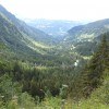 Loi montagne : où est passée la forêt ?