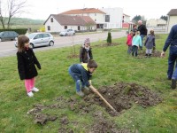 La forêt s'invite à l'école, inscriptions jusqu'au 21 février 2017