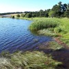 Commissions départementales de la préservation des espaces naturels, agricoles et forestiers : un sujet à suivre