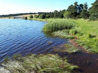 Commissions départementales de la préservation des espaces naturels, agricoles et forestiers : un sujet à suivre