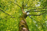 Rencontres nationales des territoires forestiers 2022
