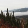 La FNCOFOR visite et reçoit le Québec