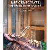 L'épicéa scolyté exploitable en construction