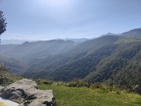 Politiques de massif : des stratégies forêt-filière bois soutenues face au changement climatique.
