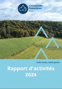 Rapport d'activités 2024