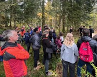Enquête Communes forestières France - Accessibilité des forêts communales