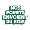« Nos forêts envoient du bois », une campagne de communication nationale de la filière forêt-bois