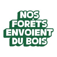 « Nos forêts envoient du bois », une campagne de communication nationale de la filière forêt-bois