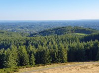 La dématérialisation de la facturation des ventes de bois