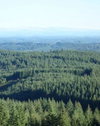 Séminaire des permanents des Communes forestières France
