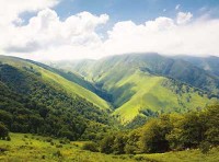 Le volet forêt de l'acte III de la loi Montagne