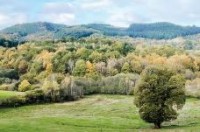 Dématérialisation de la facturation des ventes de bois