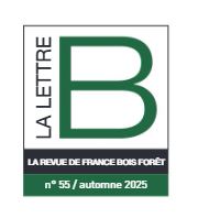Lettre B – France Bois Forêt : focus sur notre engagement pour la valorisation du bois local