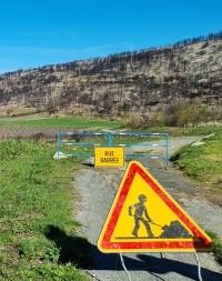 Feux de forêt : élus français et experts québécois partagent leurs expériences