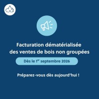 Facturation dématérialisée des ventes de bois non groupées