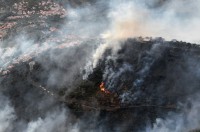 Notre réseau en action pour la gestion de l'après-feux